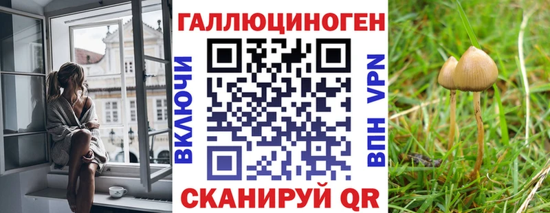 Купить где  Зеленогорск  Псилоцибиновые грибы мухоморы 
